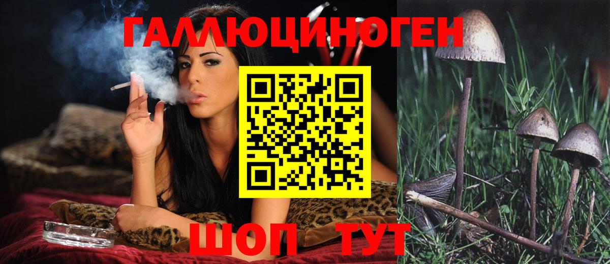 Галлюциногенные грибы Magic Shrooms Ипатово