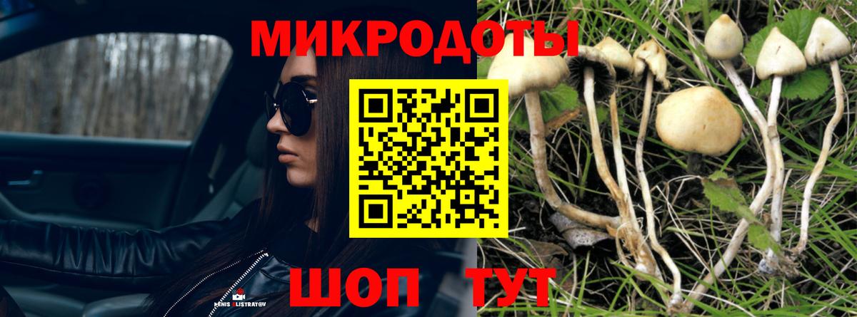 Псилоцибиновые грибы MAGIC MUSHROOMS  Вход с VPN  Ипатово 